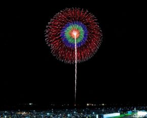 【10号芯入割物】昇曲付 四重芯変化菊